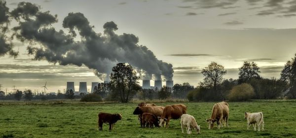 Environmental Liabilities as a Goldmine: Zefiro Methane Builds a Strong Order Book, Analysts See 200% Upside