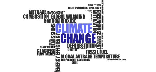 Drill Deep, Plug Wells, Manage Risk: How Daldrup, Zefiro and Munich Re Make Money from Climate Protection