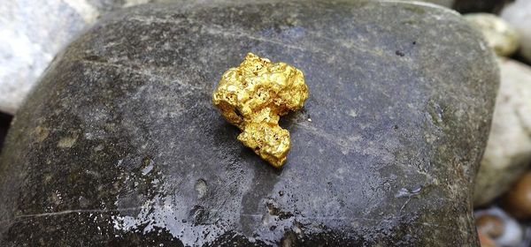 Data and AI Giant, Server Boom and Gold Wild Card! A Look at Palantir, Super Micro and Desert Gold