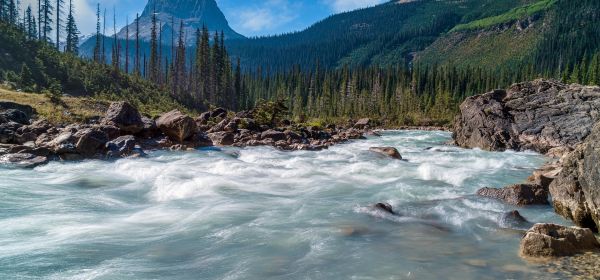 200% Stock Surge: The Battle for Dominance in Critical Metals with Antimony Resources