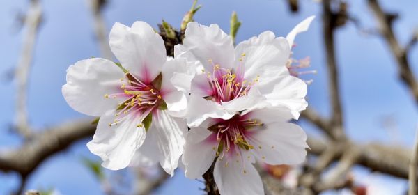 Amazing! Rollercoaster ride with Beyond Meat, recovery at Novo Nordisk and Eli Lilly, big returns with PanGenomic Health