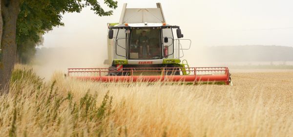 Bayer shares in the fast lane! Partner MustGrow Biologics facing revaluation!