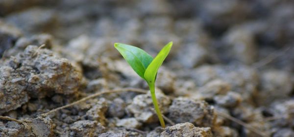 Between New Beginnings and a Test of Resilience: Almonty Industries, Aumovio and SUSS MicroTec