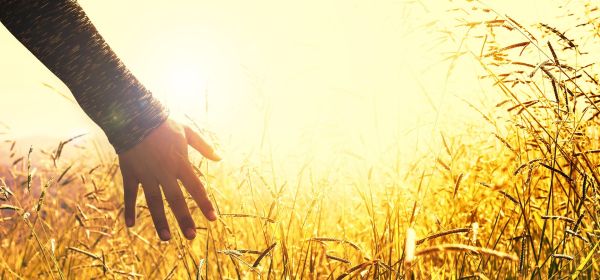 Biotech and life sciences are booming, and now Mercosur is joining the fray! Bayer, MustGrow, Novo Nordisk, and BioNxt Solutions in focus