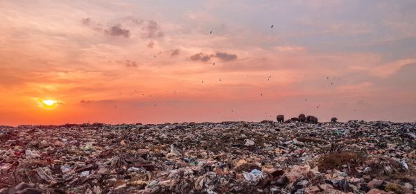 Bloom Energy, A.H.T. Syngas, Veolia: Waste is Giving Rise to a Multi-Billion-Dollar Market