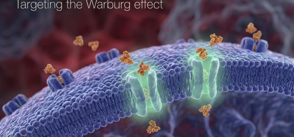 Breakthroughs in Skin Cancer Treatment: New Approaches from Biofrontera and Moderna &ndash; Vidac Pharma Faces a Busy Fall
