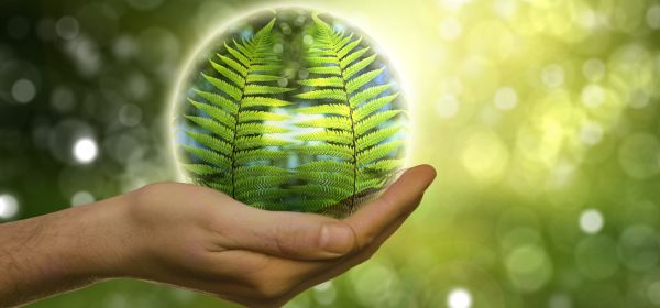 Do Not Miss These Three Energy Stocks: Occidental Petroleum, Zefiro Methane and NextEra Energy