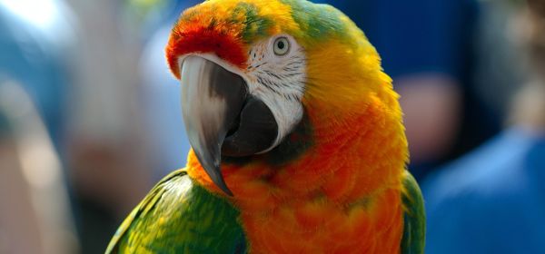 Europe steps on the gas! E-mobility and secure supply chains - Avrupa Minerals, BYD, VW, and Stellantis