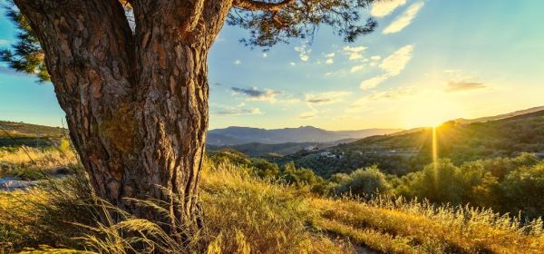 Fertilizer Crisis: Supply Chain Collapse Threatens Bayer, Nestl&eacute;, MustGrow, and K+S! Where are the Opportunities for Investors?