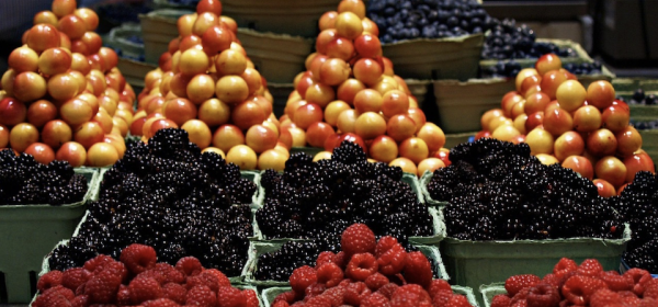 From Farm to Supermarket Shelf: MustGrow Biologics, Sprouts and Hain Celestial Fuel the Appetite for Organic