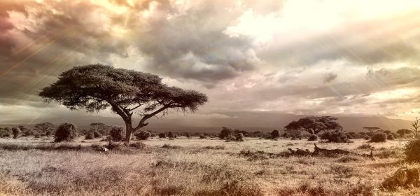 Iran, Israel, USA &ndash; Investors turn to gold! Buying opportunities for Desert Gold, Barrick Mining, TUI, and Lufthansa