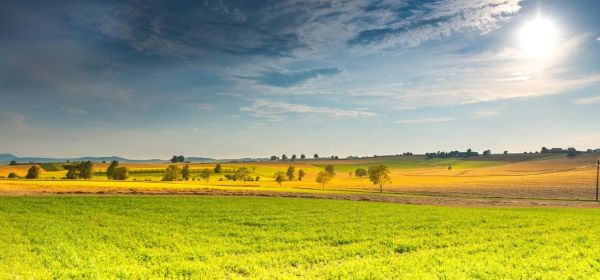 Middle East Conflict Weighs on Markets: Food Supply Chains Become a Key Issue &ndash; MustGrow, K+S, Evotec, and BioNTech in the Spotlight