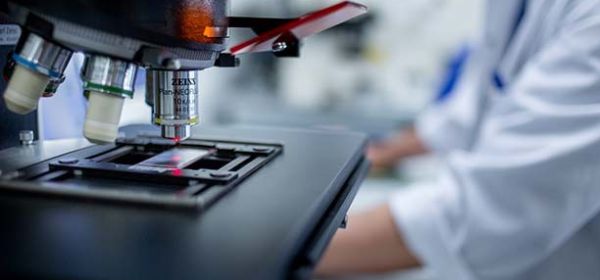 Millions for BioNTech and Evotec! But drug development is costly! Is NetraMark the next takeover target?