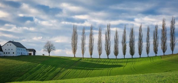 Money or gold – Where can investors expect another 150% return? ESG-compliant with RE Royalties, Deutsche Bank, PayPal, or Fiserv?