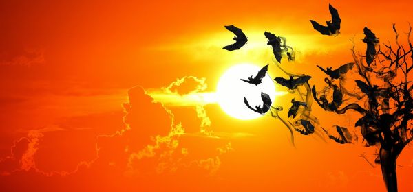 Only the Sky's the Limit! 150% Potential After the Correction: Desert Gold, Lufthansa, Ryanair and easyJet