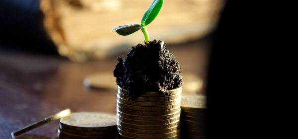 Passive Income Made Easy: Nike, RE Royalties, and Freenet as Your New Sources of Cash