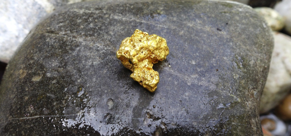 Price Multipliers Possible? Speculative Plays Plug Power, Nel ASA, and Desert Gold in Focus