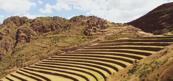 SILVER - Is the USD 150 mark now within reach? Silver Viper on the move!