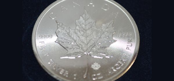 Silver Remains a Hot Topic! Silver Viper Minerals Reports 183.5 g/t Gold and 6,850 g/t Silver at the La Virginia Property