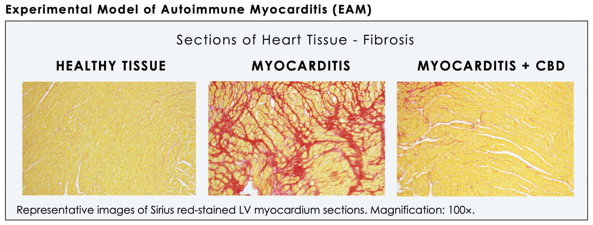 Cardiol Therapeutics