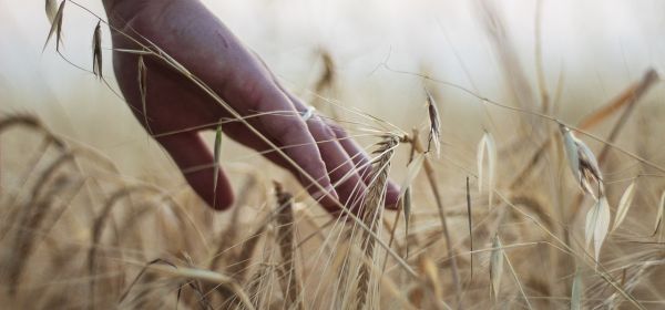 Three trends, one goal: How Bayer, MustGrow Biologics, and BASF are turning the agricultural revolution into a profit opportunity