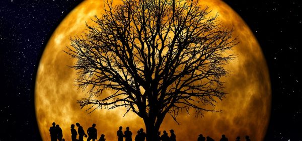 Up and down: Doublers and halvers among themselves! BYD, VW, DroneShield, and Power Metallic