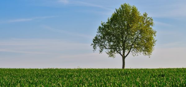 Vistra, Zefiro Methane, Tetra Tech: Energy and Infrastructure Remain Growth Drivers