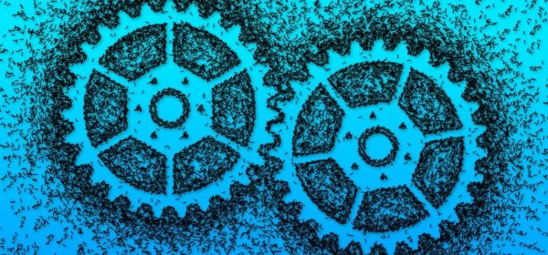 Winners for 2026: RZOLV Technologies, Evotec, Mutares have what it takes &ndash; which developments are crucial?